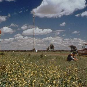 Bilder Die Göttin von 1967