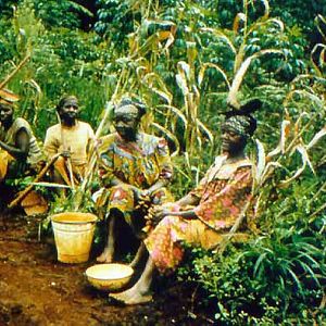 Bilder Ferien in der Heimat