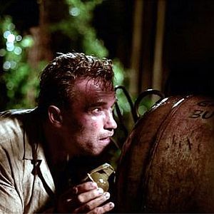 Bilder Collateral Damage