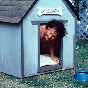 Bilder Luke Greenfield