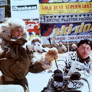 Bilder Elche, Eis und Erbschaftsärger