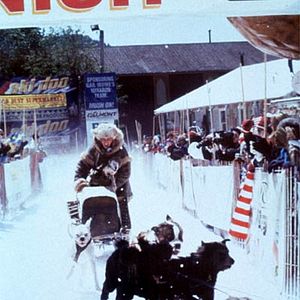 Bilder Elche, Eis und Erbschaftsärger