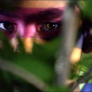 Bilder Die Geheime Festung