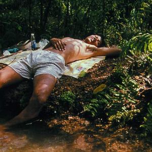 Bilder Blissfully Yours