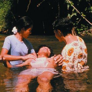 Bilder Blissfully Yours