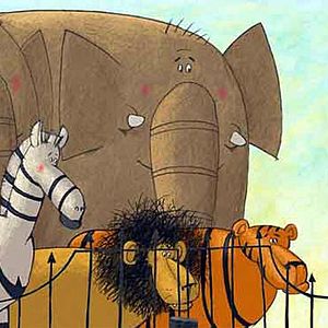 Bilder Das Geheimnis der Frösche