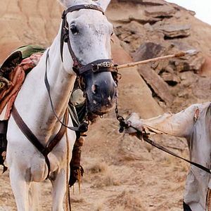 Bilder Lost in la Mancha