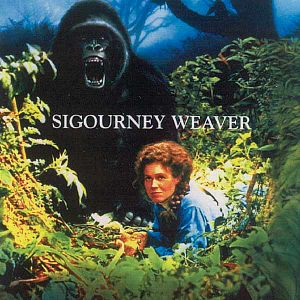 Bilder Gorillas im Nebel