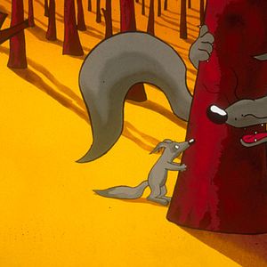 Bilder Loulou et autres loups...