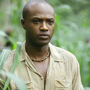 Bilder Tränen der Sonne