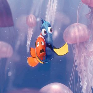 Bilder Findet Nemo