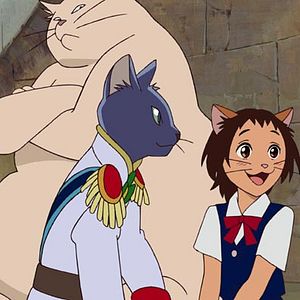 Bilder Das Königreich der Katzen