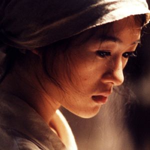 Bilder Purple Butterfly