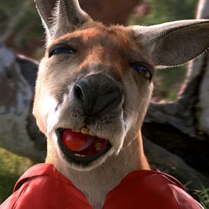Bilder Kangaroo Jack