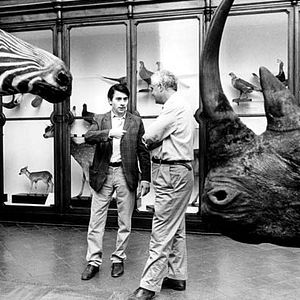 Bilder Die besten Jahre