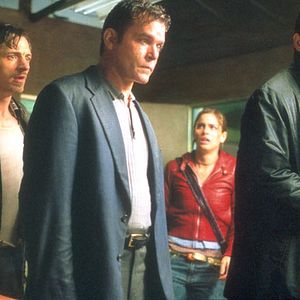 Bilder Identität - Identity