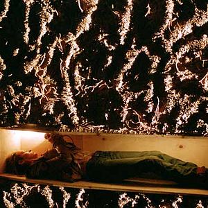 Bilder Kill Bill Vol.2