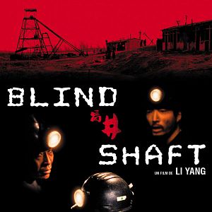 Bilder Blinder Schacht