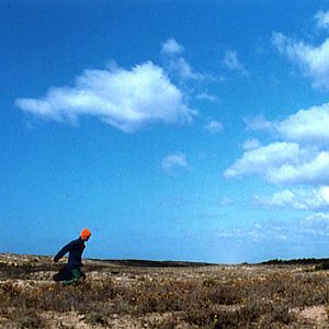 Bilder Pas de repos pour les braves - Keine Ruhe für die Helden