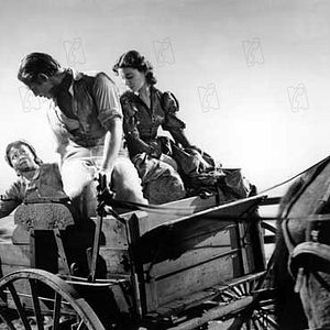 Bilder Butterfly McQueen