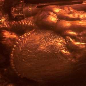 Bilder Alien - Das unheimliche Wesen aus einer fremden Welt