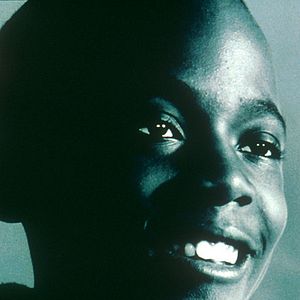 Bilder Dominique Standaert