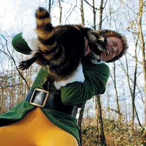 Bilder Buddy - Der Weihnachtself