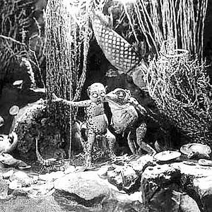 Bilder Ladislas Starewitch