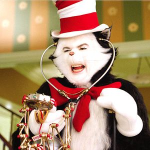 Bilder Ein Kater macht Theater