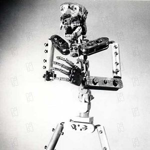 Bilder Merian C. Cooper