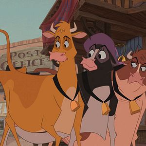 Bilder Die Kühe sind los