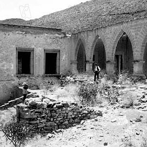 Bilder The Wild Bunch