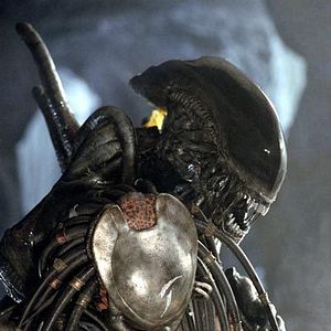Bilder Alien vs. Predator