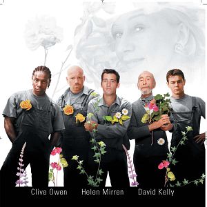 Bilder Joel Hershman