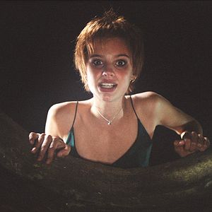 Bilder Im Spiegel des Bösen