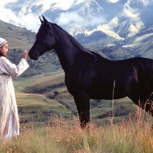 Bilder Der schwarze Hengst - Wie alles begann