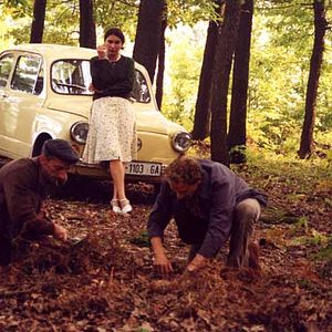 Bilder Gori vatra - Feuer!