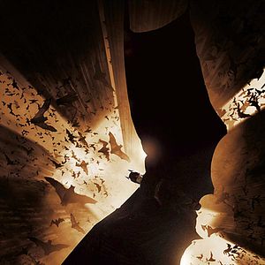 Bilder Batman Begins