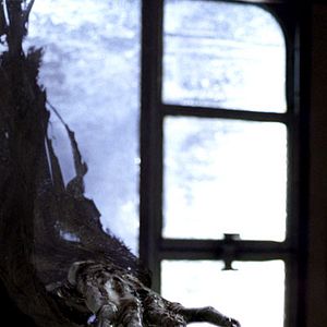 Bilder Harry Potter und der Gefangene von Askaban