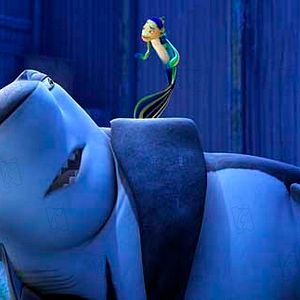 Bilder Bibo Bergeron