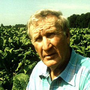 Bilder Bright Leaves