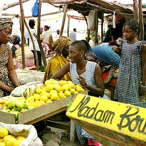 Bilder Das ungewöhnliche Schicksal der Madame Brouette