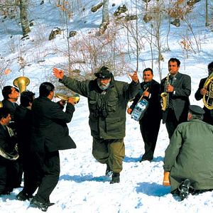 Bilder Das Leben ist ein Wunder