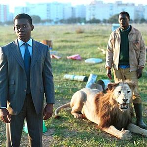 Bilder Eugenio José Roca