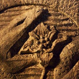 Bilder Anacondas – Die Jagd nach der Blut-Orchidee