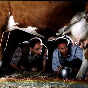 Bilder Welcome in Switzerland