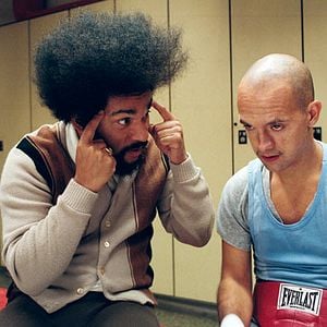 Bilder Maurice Barthélémy