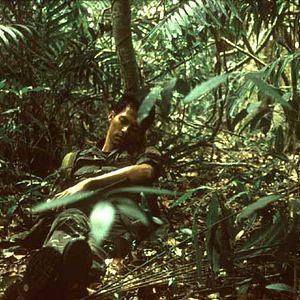 Bilder Tropical Malady