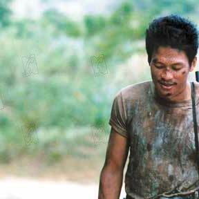 Bilder Tropical Malady