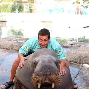 Bilder 50 erste Dates